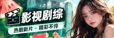 影视剧综文化研究
